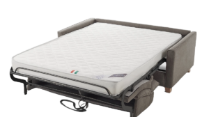 monstera-queens-ouvert